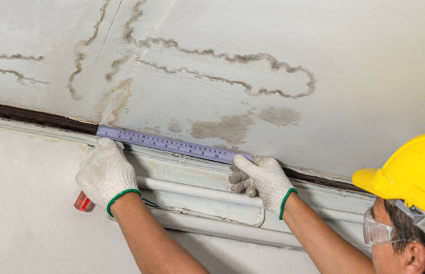 Reliable Water Damage contractor in Newberry, MI by Water Damage Irwin